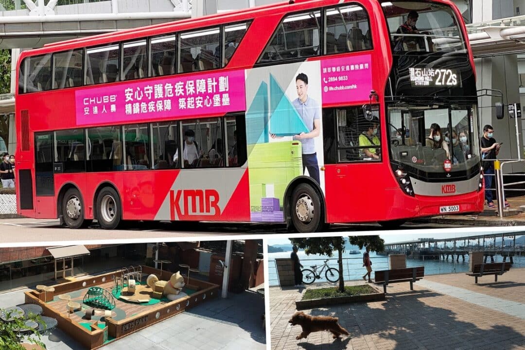 kmb pet tours weekends public holidays